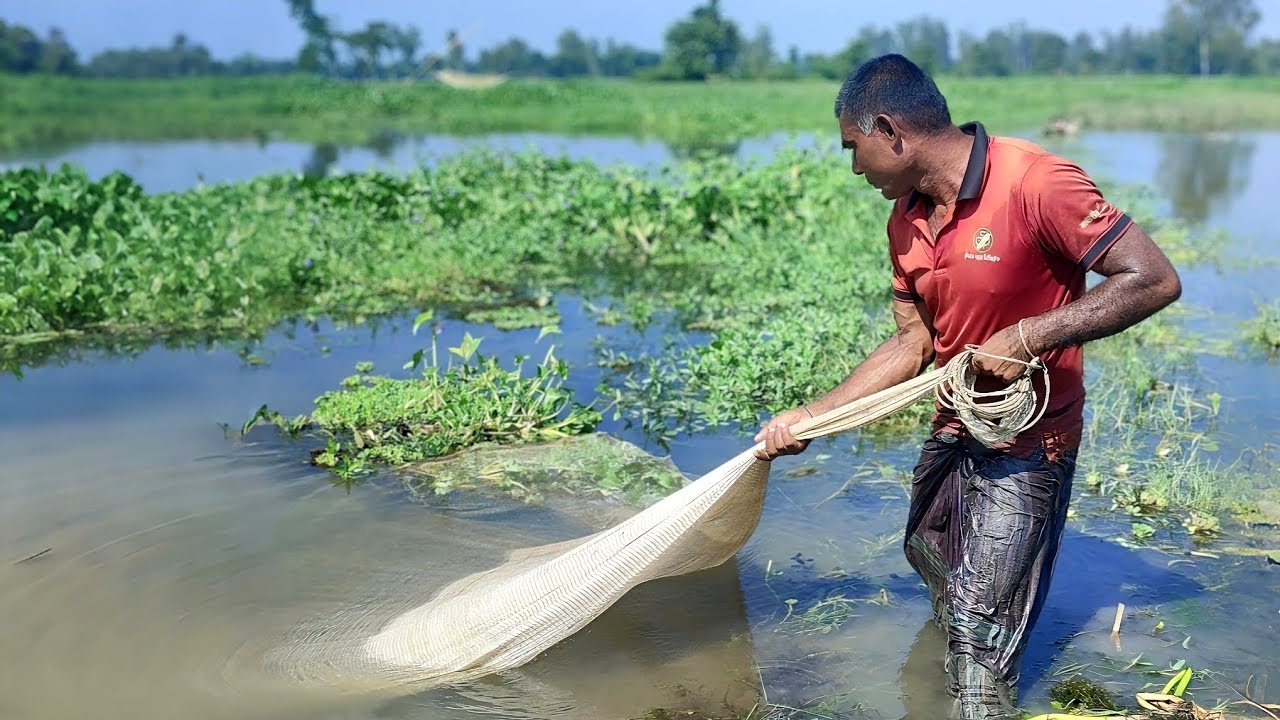 Most Popular Net Fishing In Village - Amazing New Fishing Video 