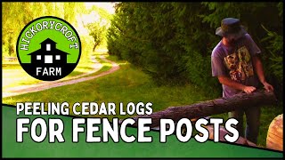 Peeling Cedar Logs for Fence Posts | Canadian Homestead (Small Farm Living)