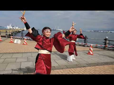 聯 2022 横浜よさこい 赤レンガ 流し