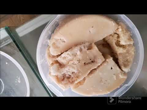 عسل يمني بلدي فاخر