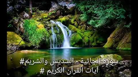 سورة الجاثية - السديس والشريم#