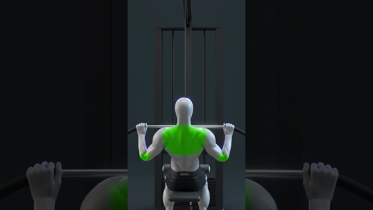 Learn how to train properly in the gym 