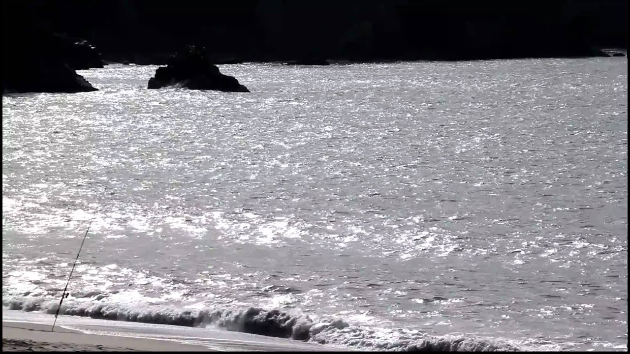 SF Baker Beach Fishing Pole MVI 4398 YouTube