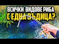 ЛОВЯ ЩУКА, СОМ, ПЪСТЪРВА, и БЯЛА РИБА с ЕДНА ВЪДИЦА TAILWALK BACKHOO TRES ревю!