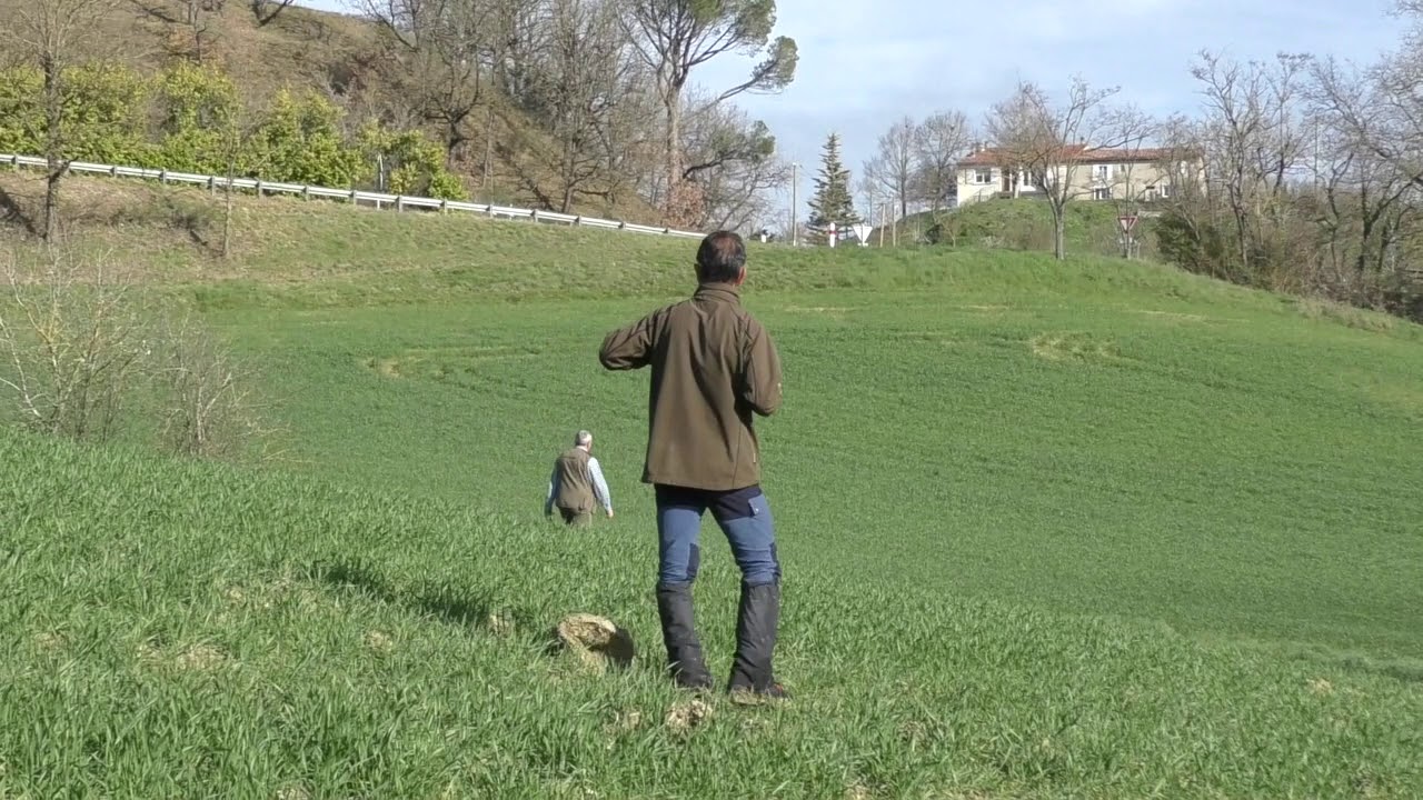 2020 field pomarede et Puylaurens