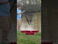 Advanced Angler Guide To FINICKY Catfish! #shorts #fishing #catfish