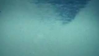 Robocane Digital Face Animation Edit - Robocop 2 1990