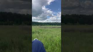 Стрельба по тарелкам 12 калибр#gunowner#мр155#калик#shorts#video#адреналин#плинкинг#азарт