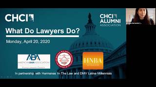 Virtual Panel: What Do Lawyers Do?
