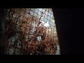 اسمع تغريد طائر الحسون التفحي طيور بريه خضري تفحي