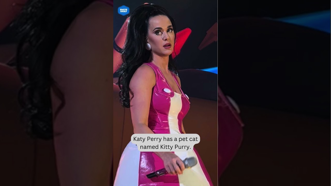 Katy Perry has a pet cat named Kitty Purry.