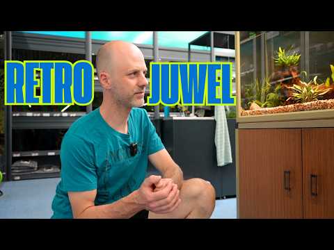 Retro-Aquarium aus den 80ern – Juwel Rahmenbecken wiederbelebt