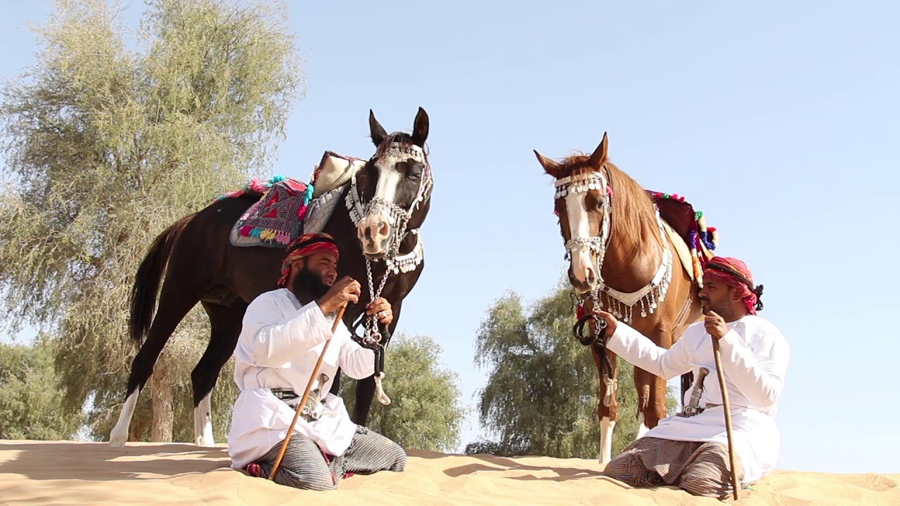 عرضه الخيل في ولايه الكامل و الوافي / الوافي سلطنه عُمان