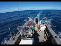 Fishing the Great Barrier Reef, is it actually worth it? Monster hammer head shark???