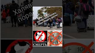 Польше указала на дверь! #польша #украина #двери #стоп #санкции #работа #беженцы #выплаты  #shorts