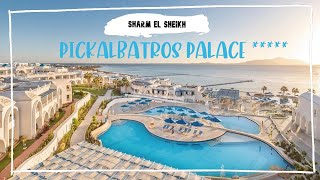 Pickalbatros Palace - Sharm el Sheikh 4K