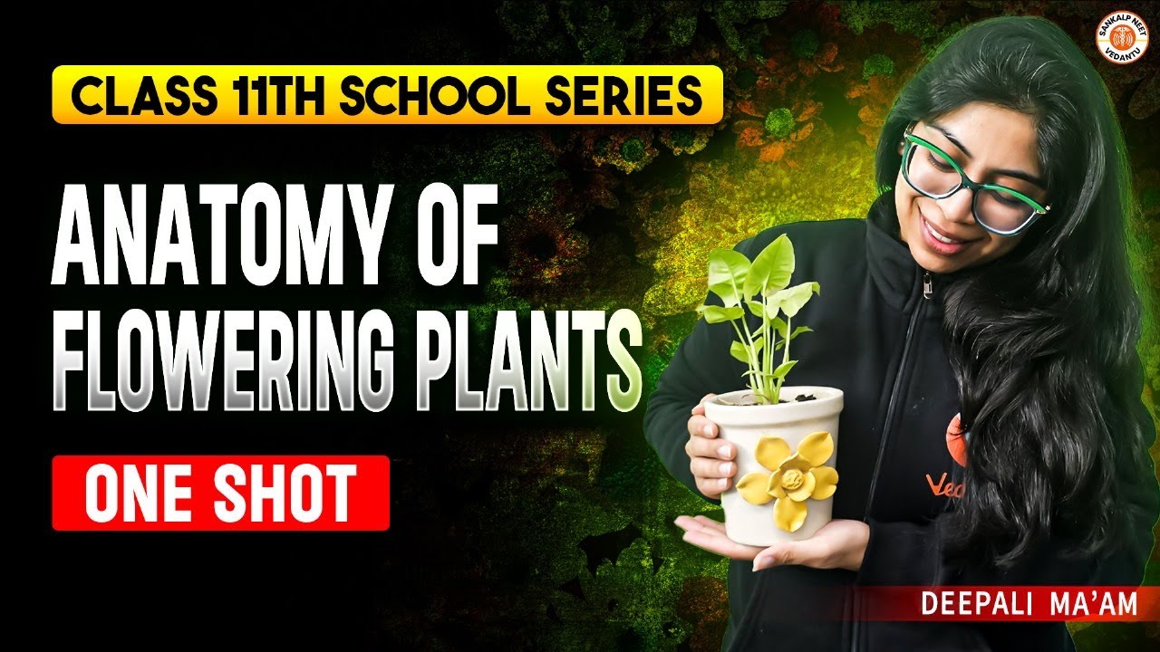 ANATOMY OF FLOWERING PLANTS CLASS 11 ONE SHOT | ALL CONCEPTS & THEORY ...