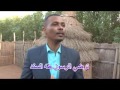 السراي السراي ثنائي الصحوة 