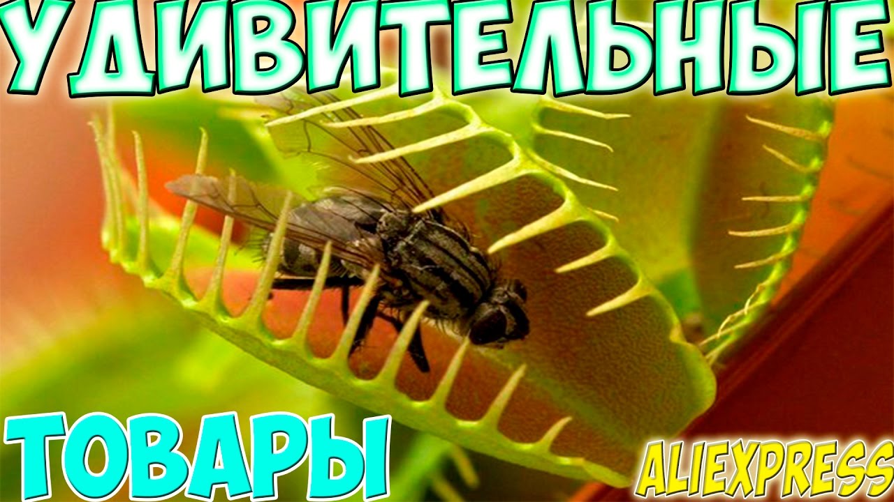 НЕОБЫЧНЫЕ И ПОЛЕЗНЫЕ ТОВАРЫ С #АЛИЭКСПРЕСС #ALIEXPRESS like a prayer