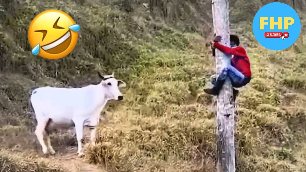 Funny & Hilarious People Life 😆 #1 | TRY NOT TO LAUGH 😂 | Instant Regret Fails Compilation 2025