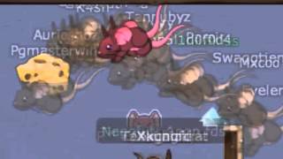 Rativect 40k Racing - TRANSFORMICE 2015 - «RELÂMPAGO»
