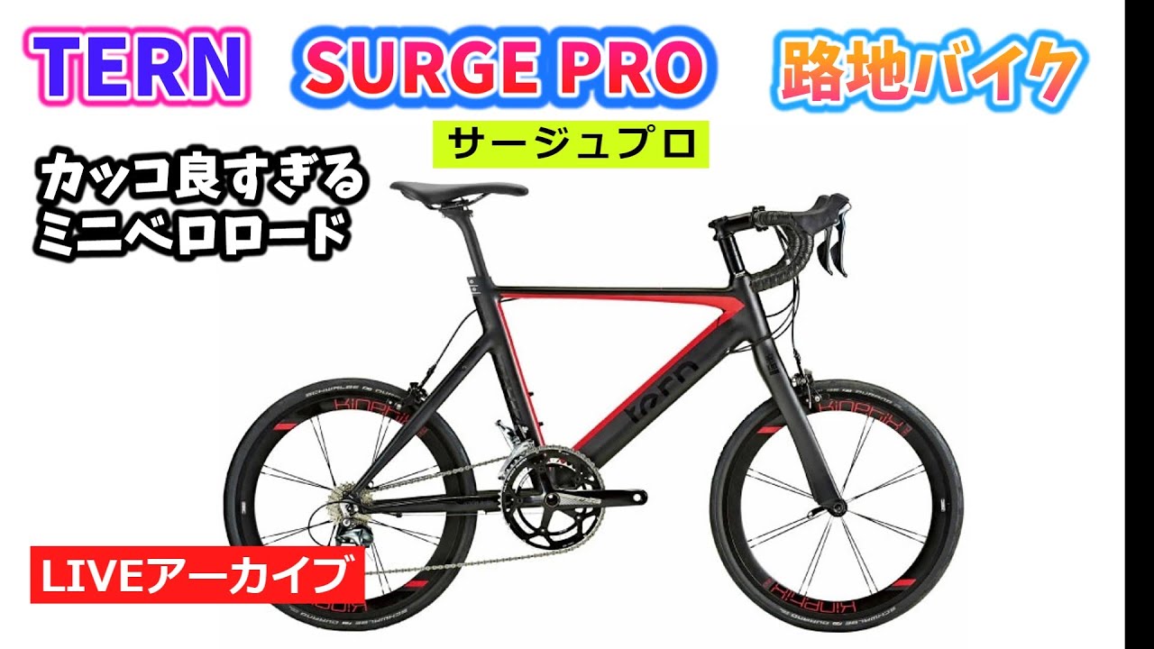 tern ターン Surge Pro サージュ プロ ！ ミニベロなのにエアロ？ ハイ