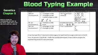 Blood Typing Example Cross for Co-Dominance and Rh Factor | Genetics