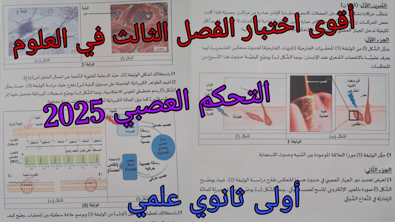 أقوى اختبار الفصل الثالث في العلوم للسنة الأولى ثانوي علمي حول التحكم العصبي 2025