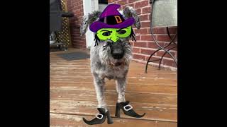 Happy Halloween