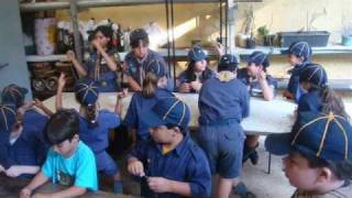 Alcateia Seeonee 2009.wmv