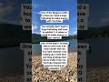 Make money on YouTube (without a huge following)