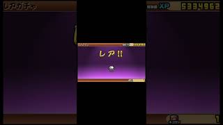 ブランカが欲しかっただけなんです…#にゃんこ大戦争#ストリートファイター6 #ブランカ#shorts #チェンソーマン#レゼ#irisout#whatif