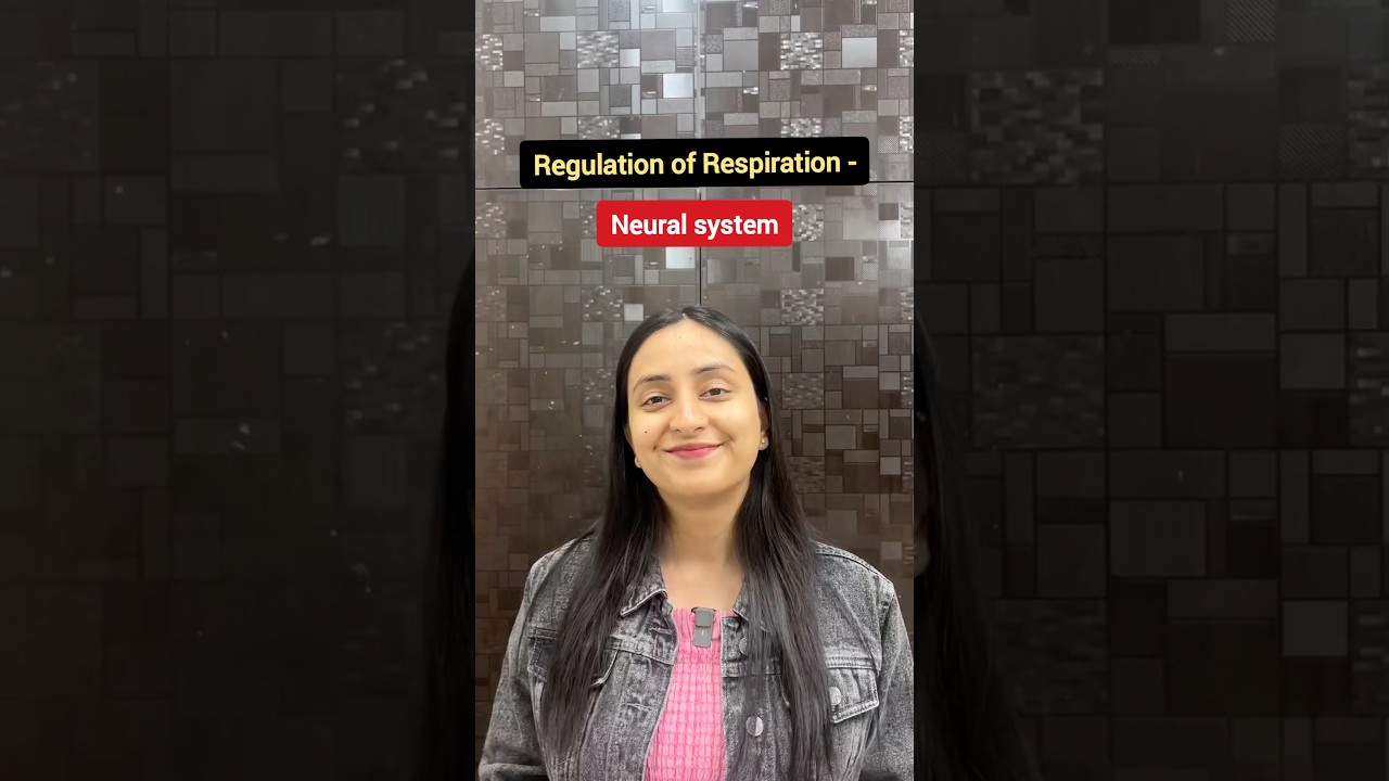 Regulation of Respiration | Breathing & Exchange of gases 