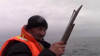 РЫБАЛКА ПОСЛЕ ВЗРЫВА В СЕВЕРОДВИНСКЕ/ВАРИМ УХУ И КАРТОШКУ В ЗАРАЖЁННОЙ МОРСКОЙ ВОДЕ!Ч.3