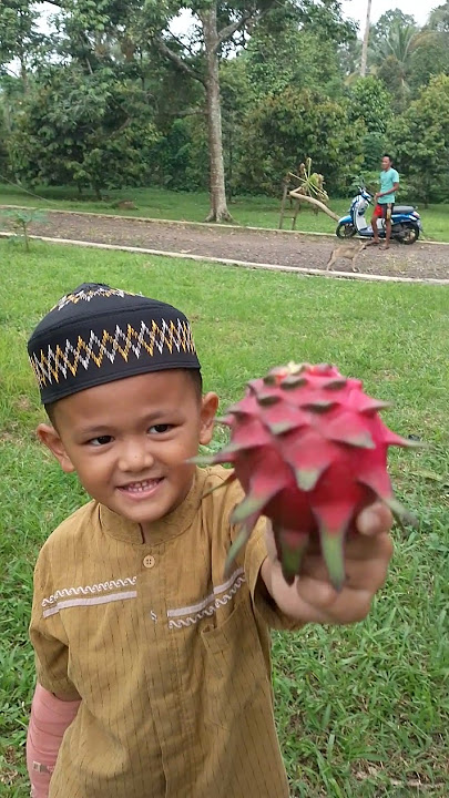 Firdan ngambil buah naga #fyp #shorts