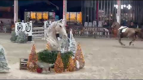 251203b  OTAZU clear second day again @csi Lier 6y old class