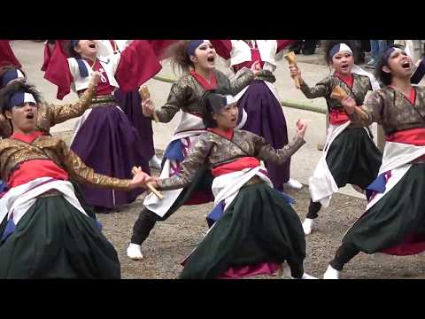 水戸藩YOSAKOI連『一刀』／拝殿前 ステージ形式／第３回鹿島神宮奉納よさこい2018