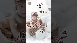 Haiderحیدر Islamic Baby Boys Name With Meaning In Urdu Hindi