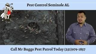 Pest Control Seminole AL (251) 979-1857