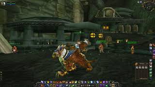 Alliance Epic Gryphon Mounts - what they look like, WoW TBC