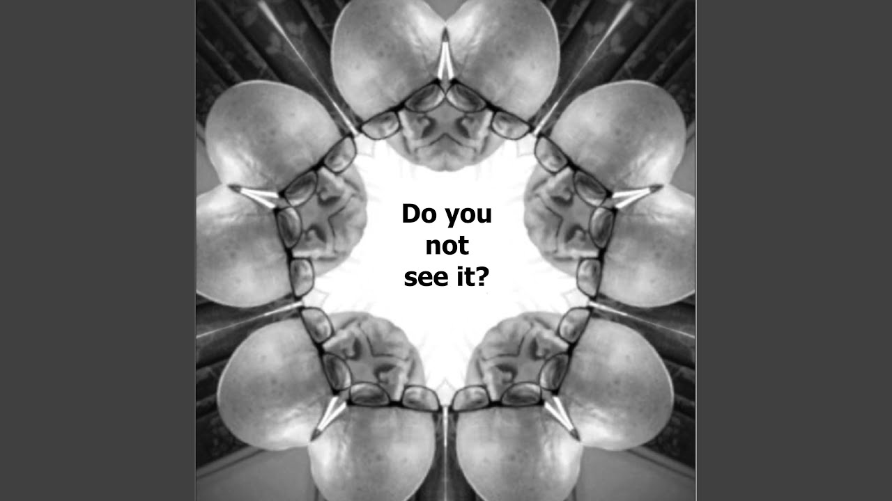 Do You Not See It?
