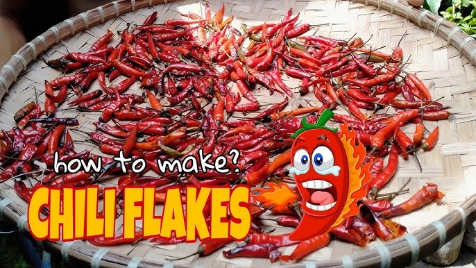 Chili flakes  How to make chili flakes - Sharmis Passions