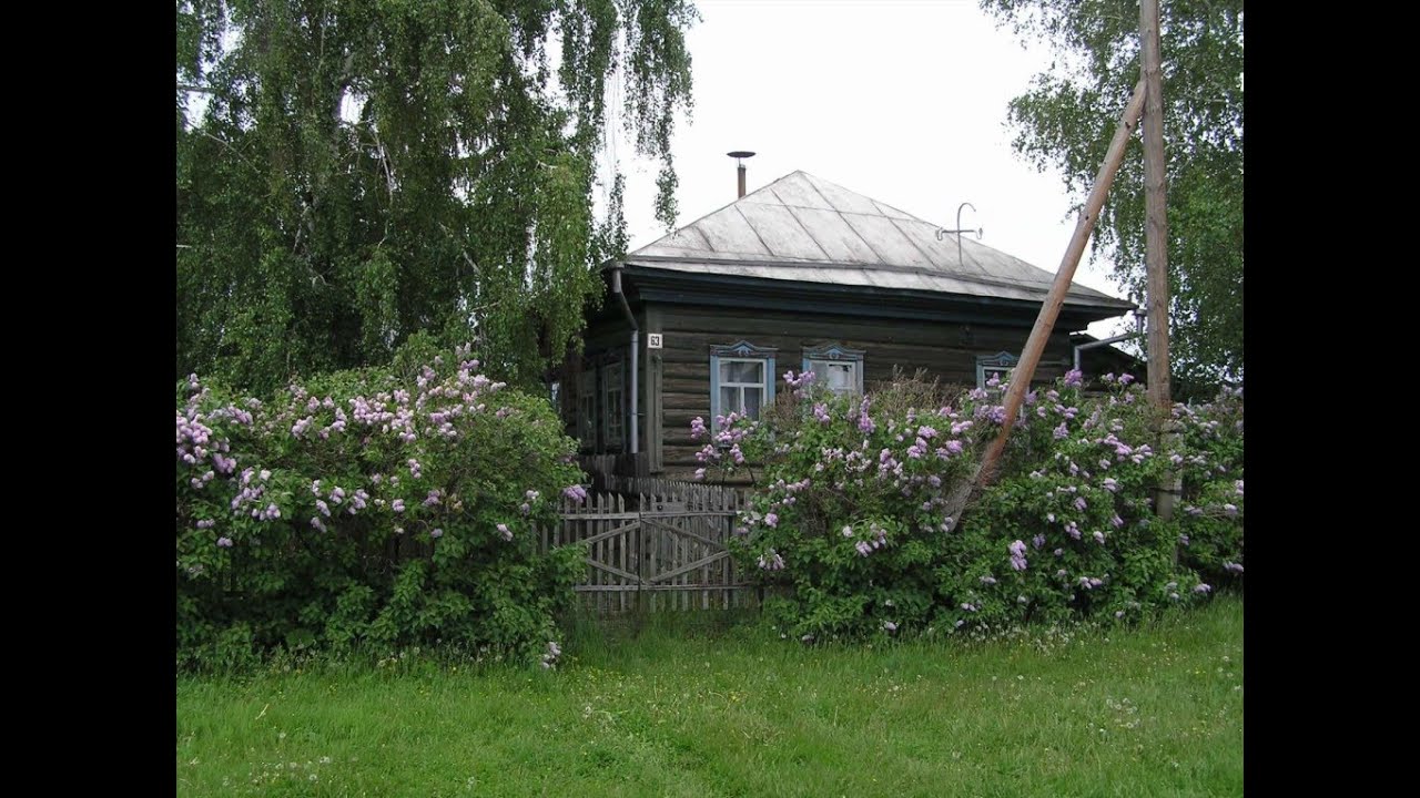 Мамин старенький домик. Деревенский домик с сиренью. Родительский дом в деревне. Деревня дом сирень. Домик в деревне сирень.