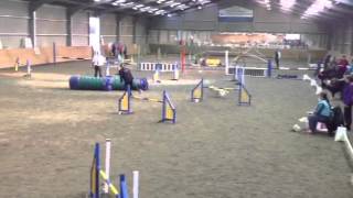 Dawn & Ruby uka agility rocks 9/3/14 steeplechase 1st place