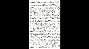 قراءة سورة يس ص 442 📖☁️