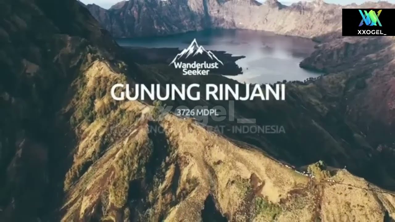 TAK TERIMA DIHINA NETIZEN BRAZIL ⁉️ PARA BULE BELA INDONESIA, KASIH PAHAM NGERINYA ALAM RINJANI ‼️