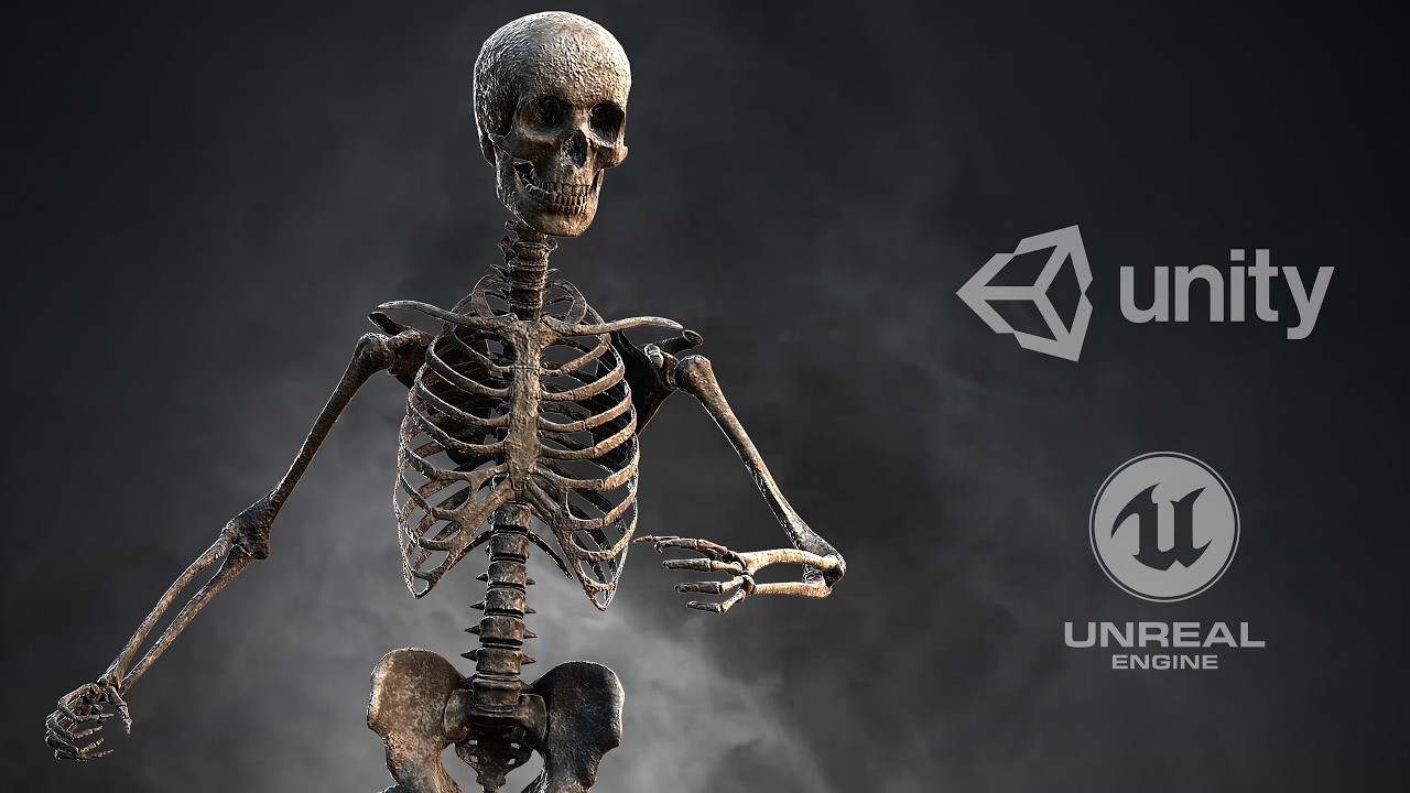 Skeleton Base Character PREVIEW - Skeleton Base - GAME READY 3D Character - YouTube
