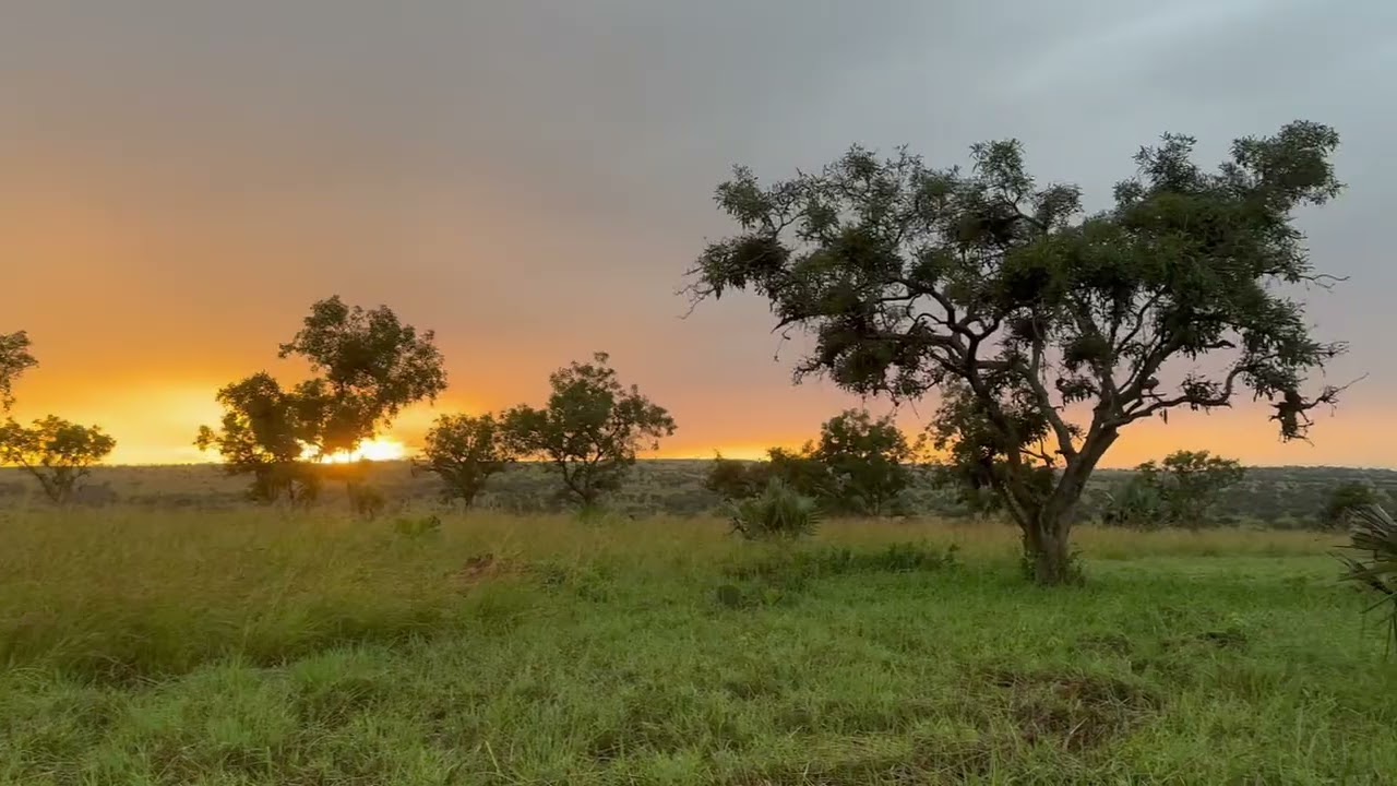 Rise and shine from Nyamsika Camp in Murchison Falls National Park, Uganda!