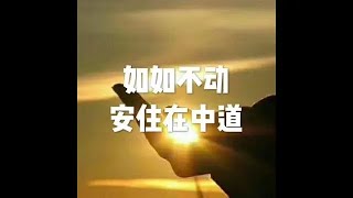 201603 如如不动 安住在中道21693