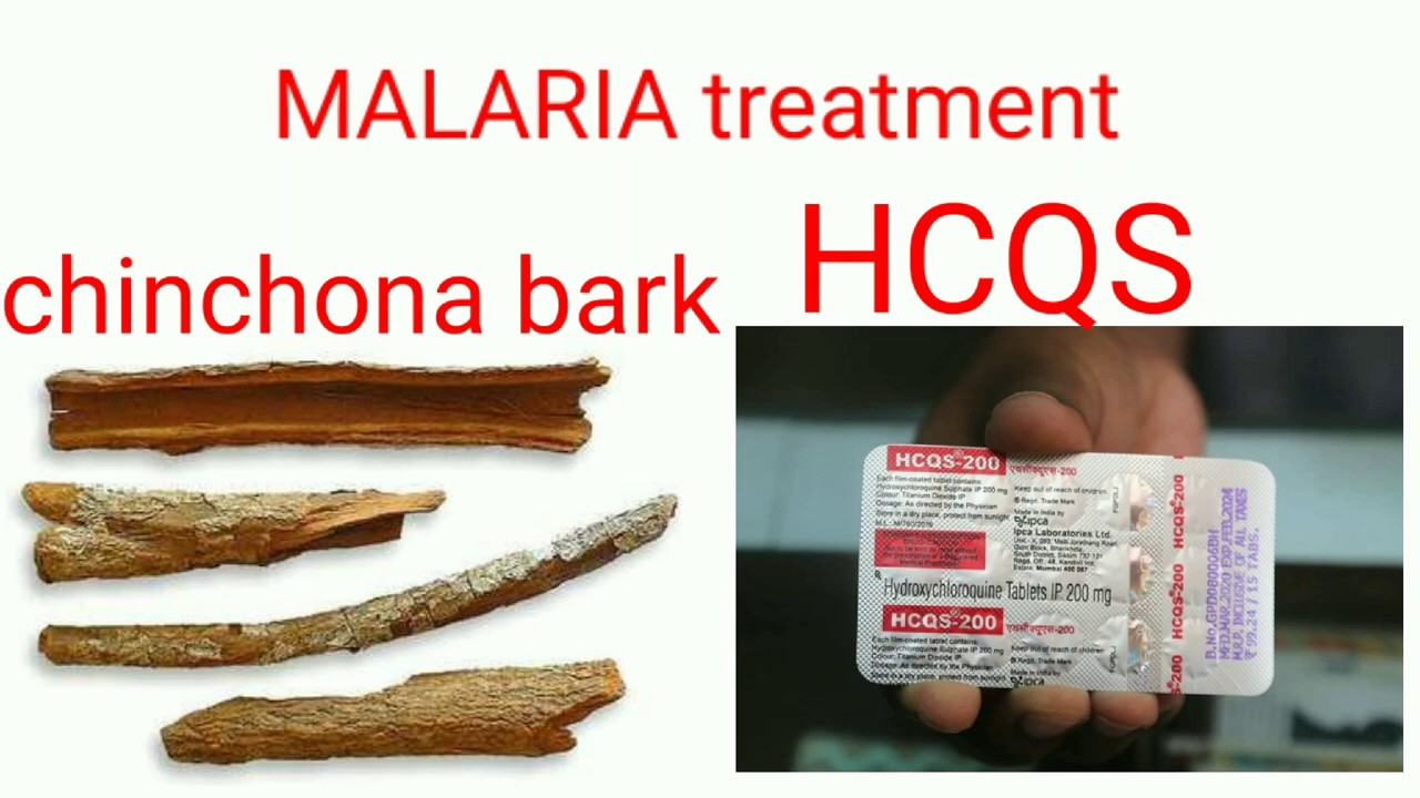 What is MALARIA, medicine used in malaria,chinchona bark used in